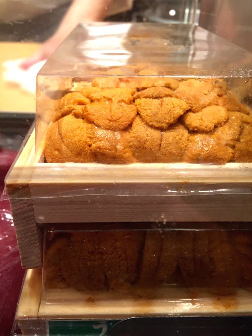 This was my view during dinner. Took all of my self-control to not break through the glass...