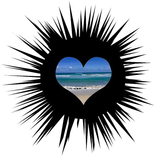 Yes I created this image. Yes this is how much I love the taste of uni.