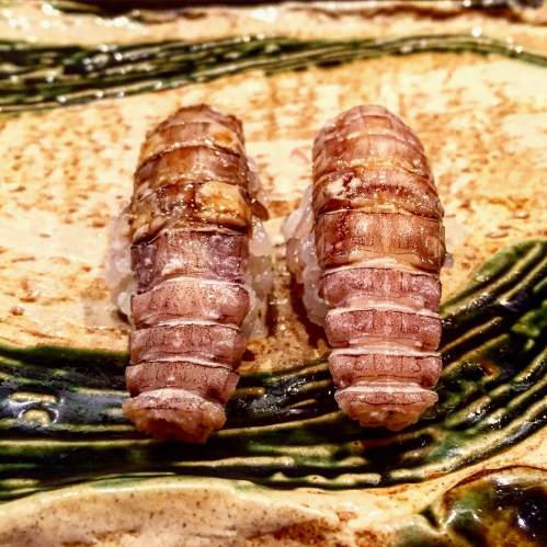 UniDiaries_Kura_MantisShrimp