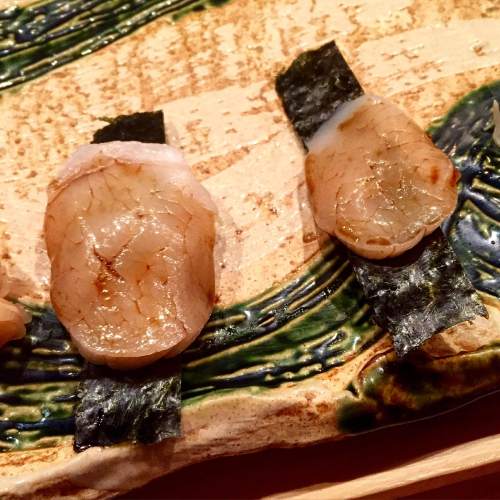 UniDiaries_Kura_SeaScallop