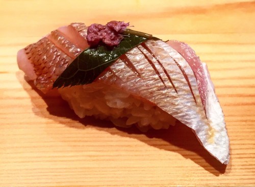 UniDiaries_SushiofGari_SpringSnapper