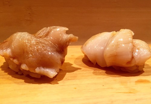 UniDiaries_Yasuda_GiantClamScallop