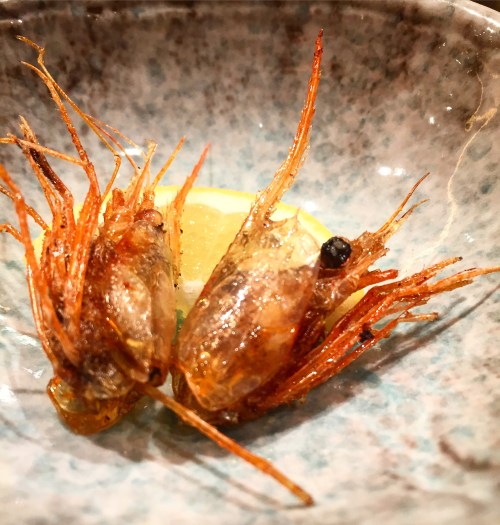 UniDiaries_Yasuda_ShrimpHead